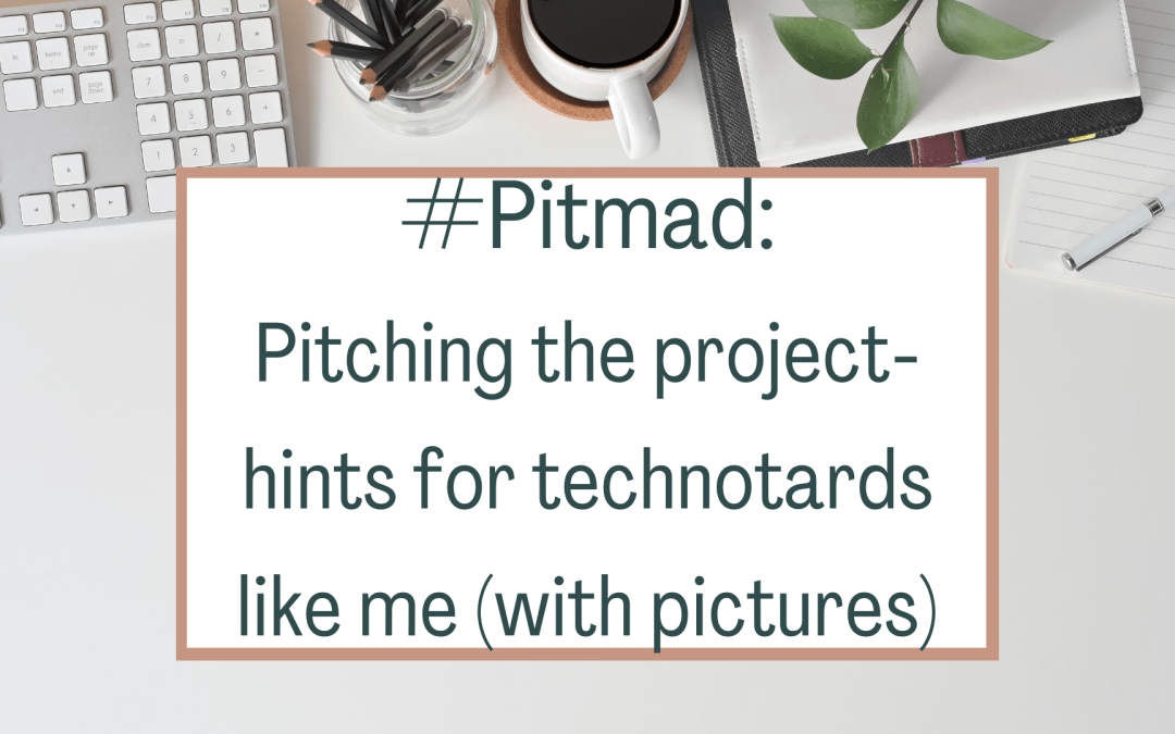 #Pitmad: Pitching the project- hints for technotards like me (with pictures)